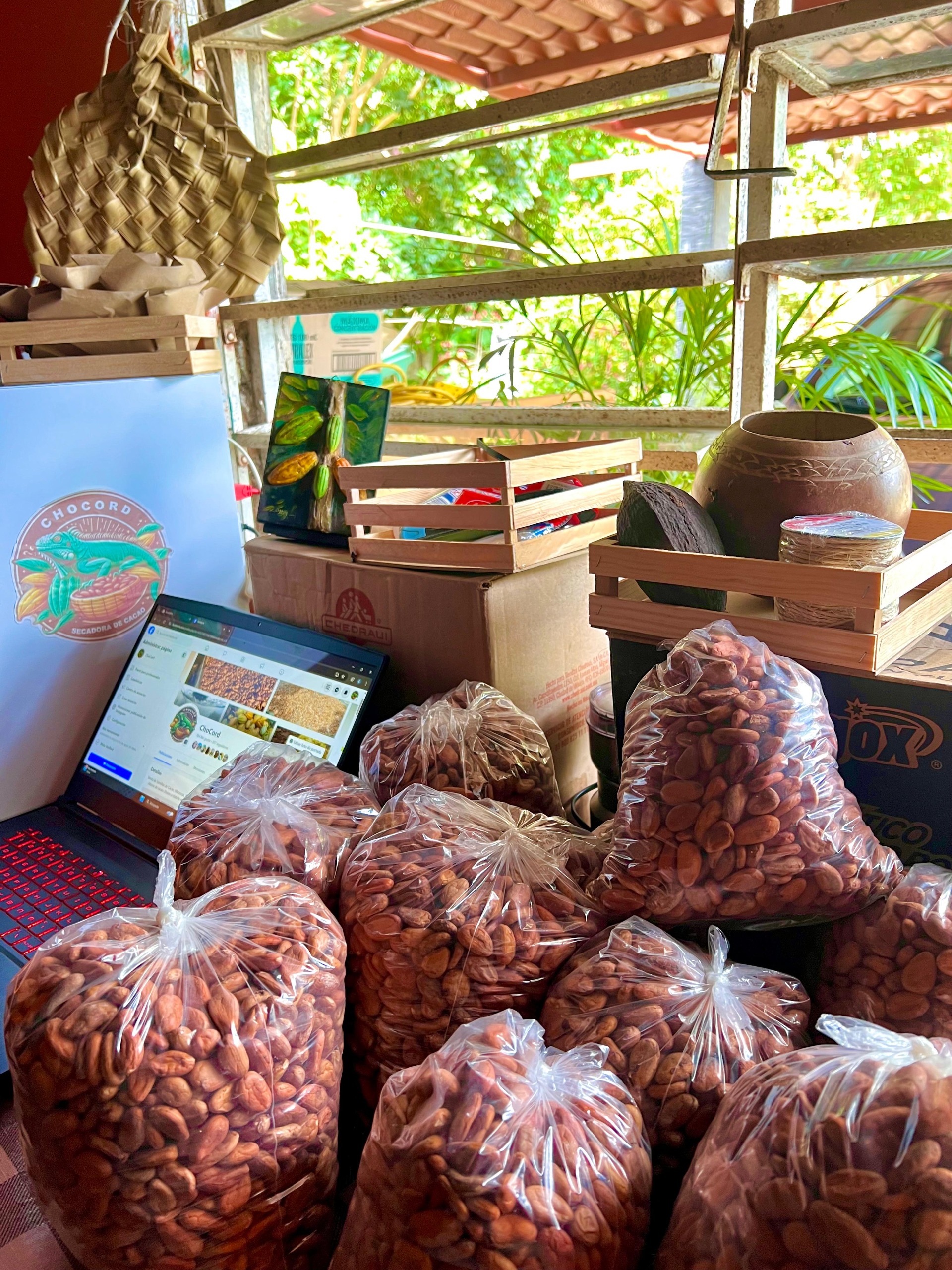 Cacao en grano lavado, fermentado y beneficiado empacado por Chocord